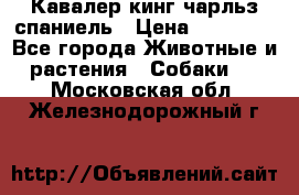 Кавалер кинг чарльз спаниель › Цена ­ 40 000 - Все города Животные и растения » Собаки   . Московская обл.,Железнодорожный г.